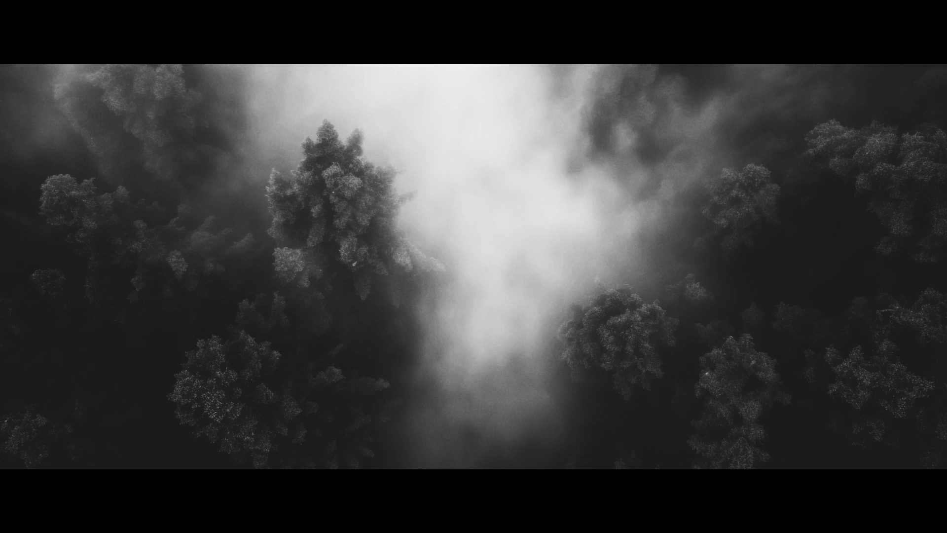 Distant Echoes through the Mist スクリーンショット
