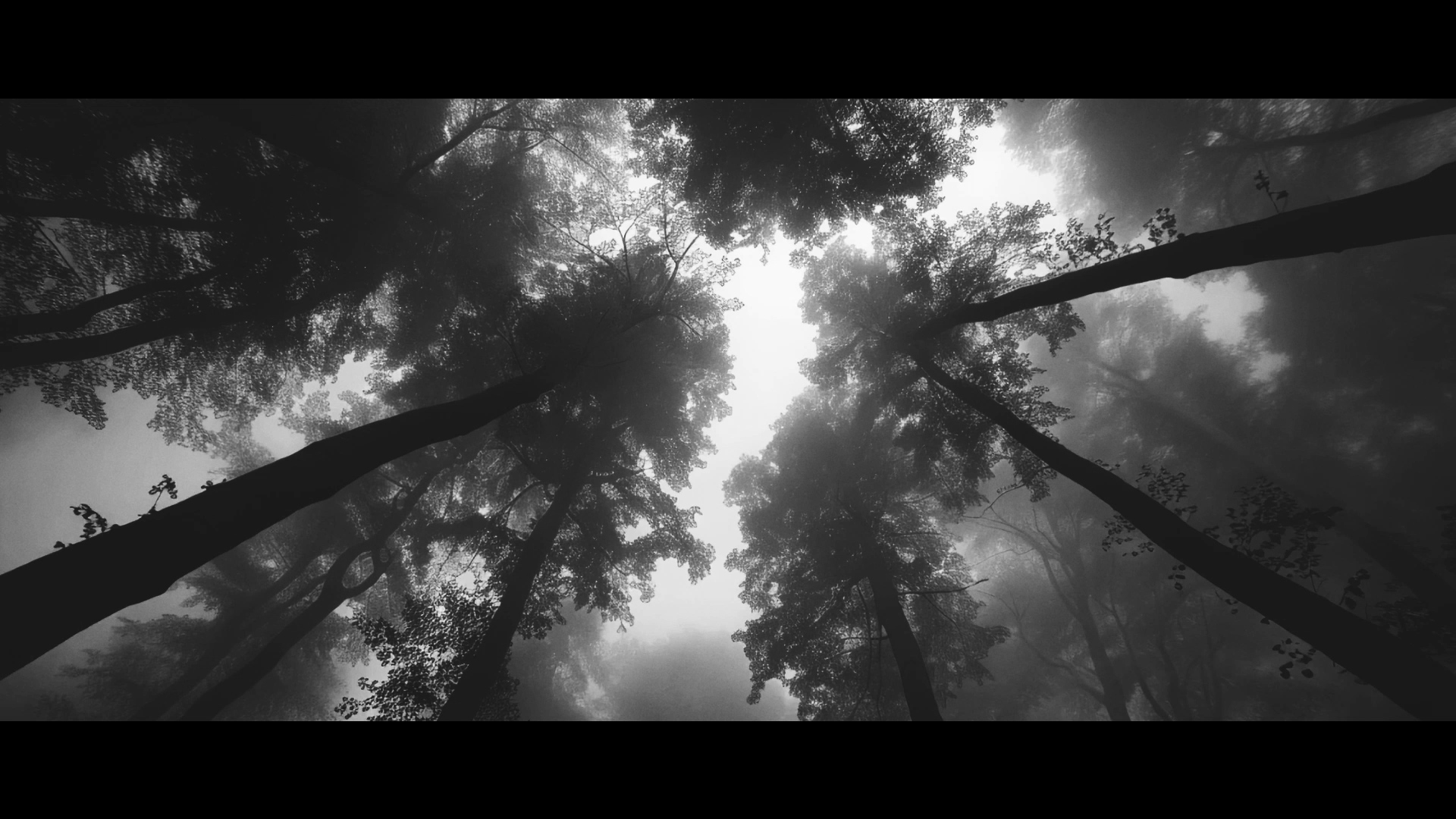 Distant Echoes through the Mist スクリーンショット