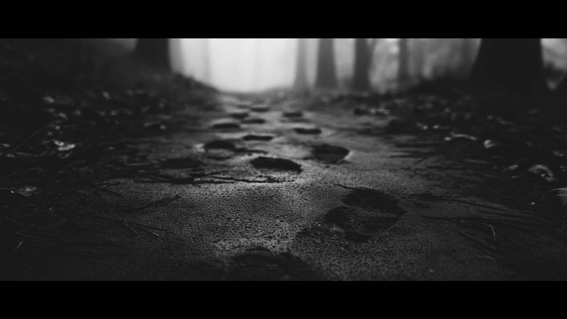 Distant Echoes through the Mist スクリーンショット