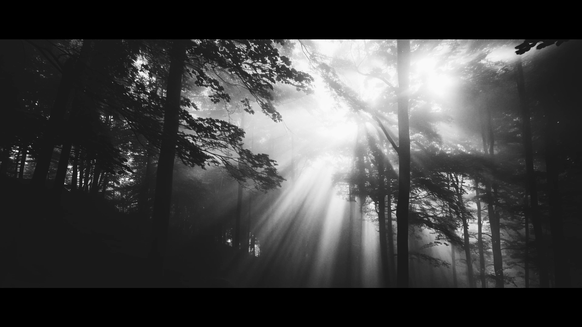 Distant Echoes through the Mist スクリーンショット